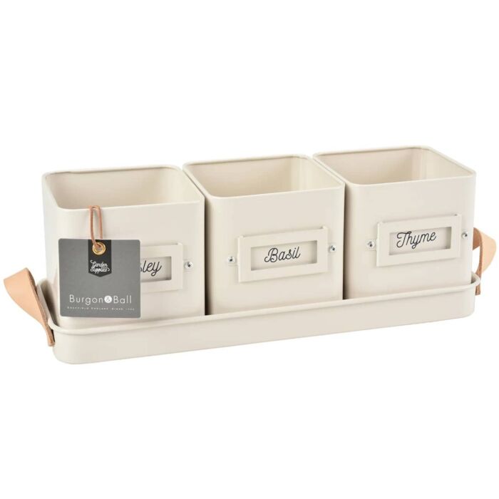 Burgon & Ball 3 Herb Pots in a Leather Handled Tray - Stone